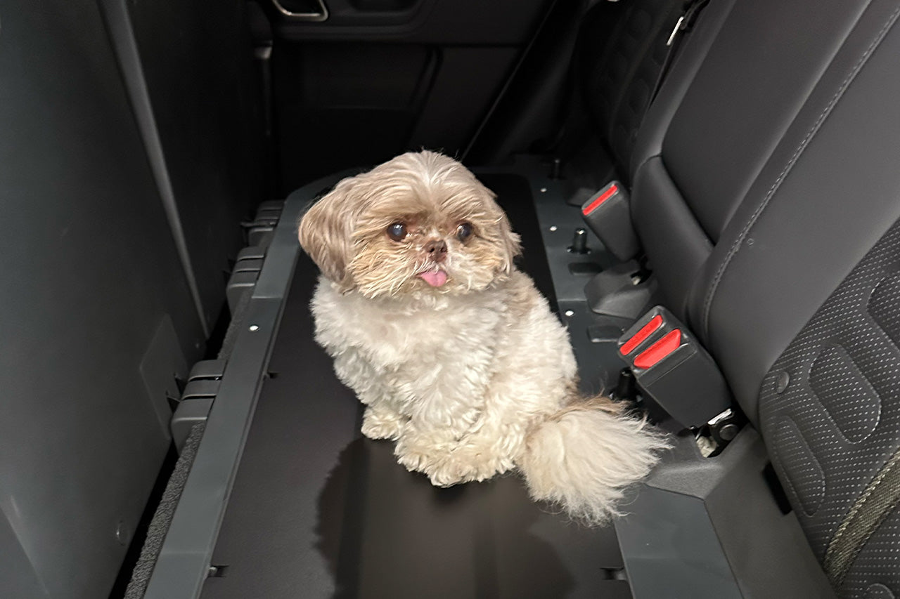 Team 1EV Under Rear Seat Cargo Cover & Dog / Pet Deck for Rivian R1T