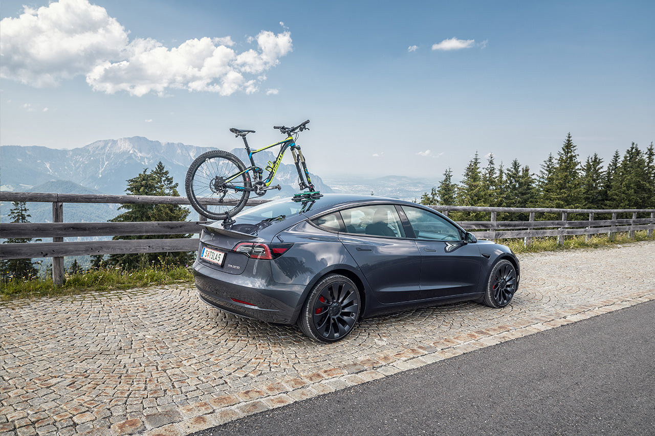 TreeFrog Pro 1 Vacuum Mounted Roof Mount Road & Mountain Bike Rack