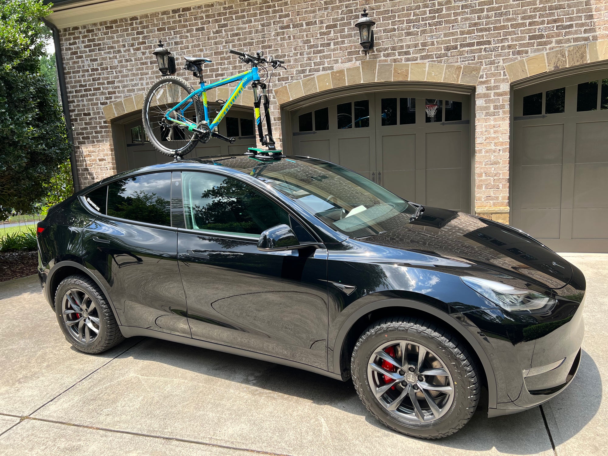 TreeFrog Pro 1 Vacuum Mounted Roof Mount Road & Mountain Bike Rack