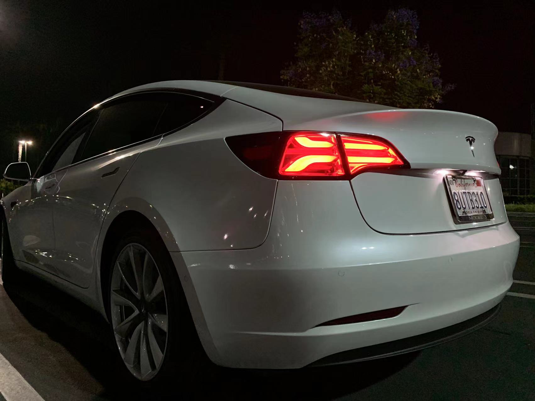 Alpharex PRO-Series LED Tesla Tail Lights for 17-Present Model 3 / 20-Present Model Y