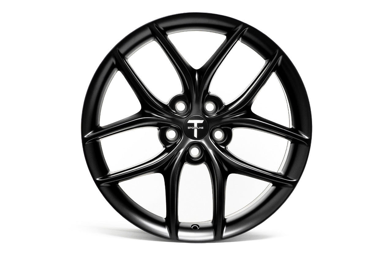 TS5 Tesla Wheel