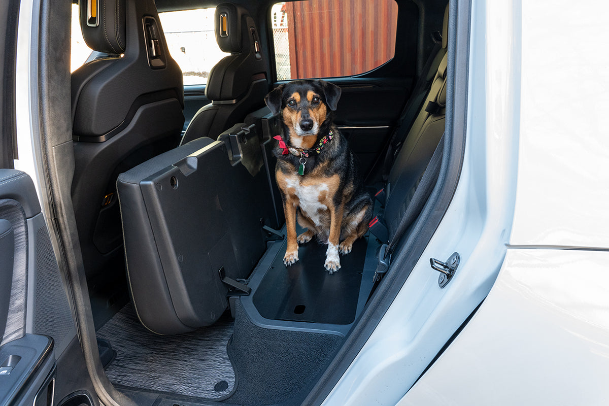 Rivian R1T Under Rear Seat Cargo Cover &amp; Dog / Pet Deck by Team 1EV