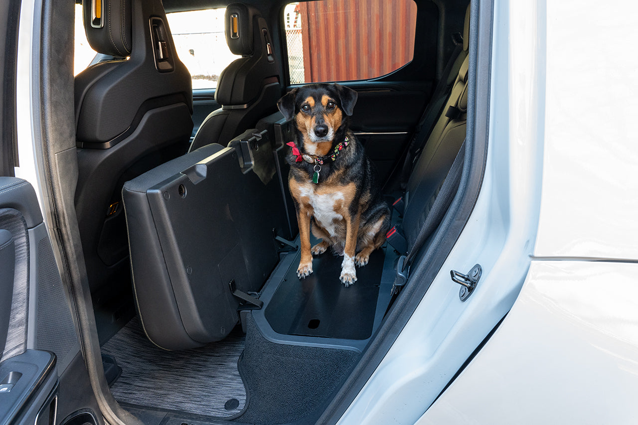 Team 1EV Under Rear Seat Cargo Cover & Dog / Pet Deck for Rivian R1T