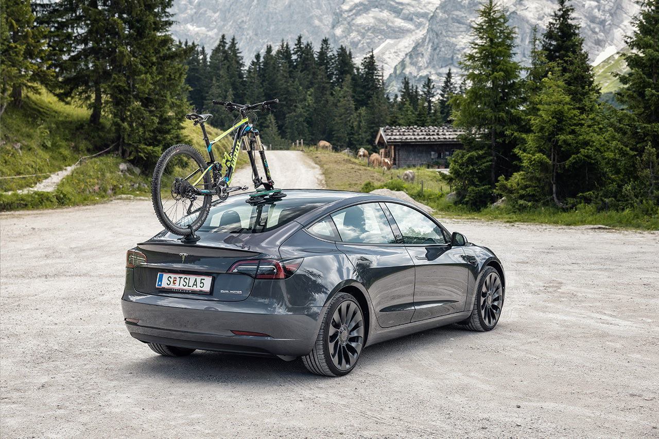 TreeFrog Pro 1 Vacuum Mounted Roof Mount Road & Mountain Bike Rack