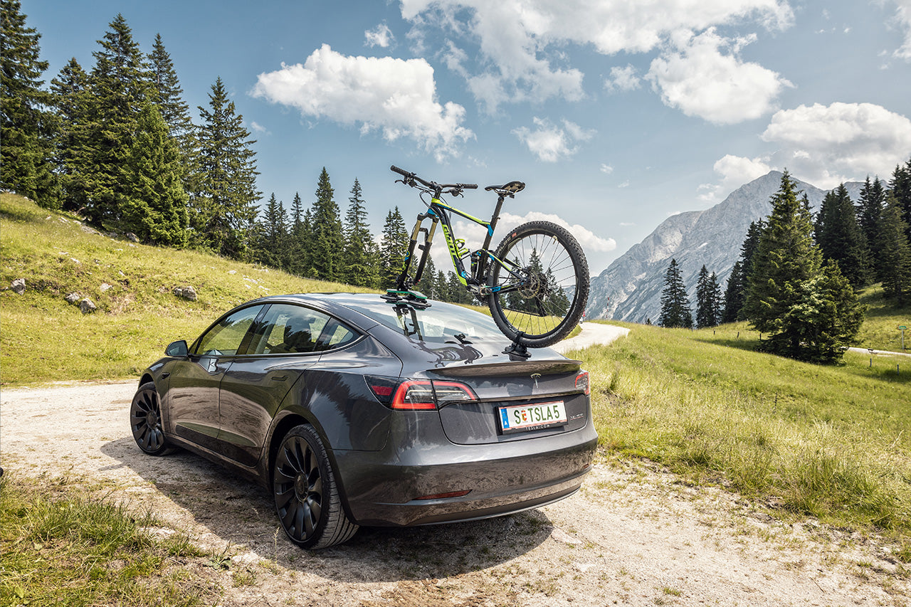 TreeFrog Pro 1 Vacuum Mounted Roof Mount Road & Mountain Bike Rack