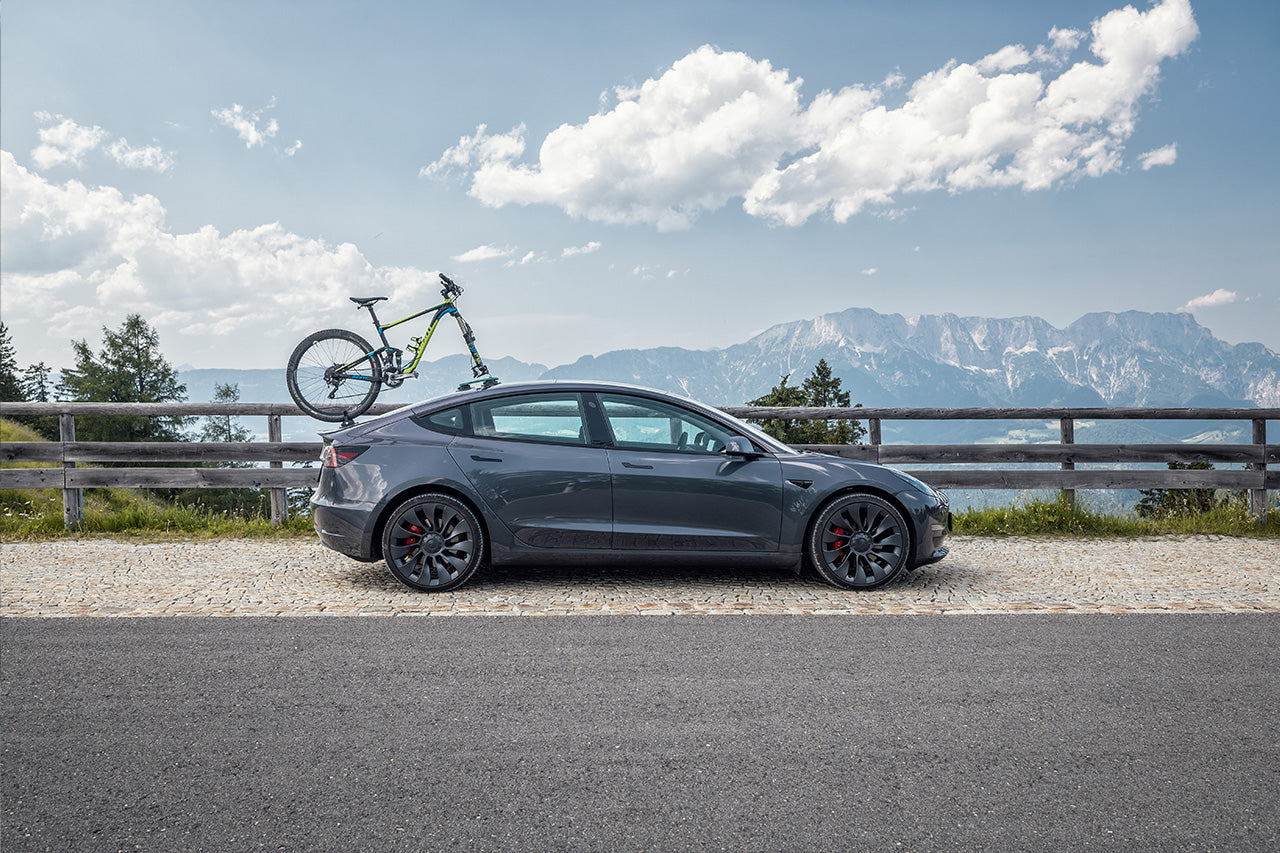 TreeFrog Pro 1 Vacuum Mounted Roof Mount Road & Mountain Bike Rack