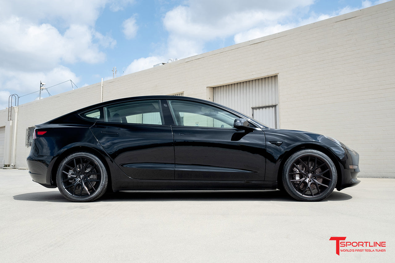 TSR Tesla Model 3 Wheel (Test Type & Brand Dropdown)