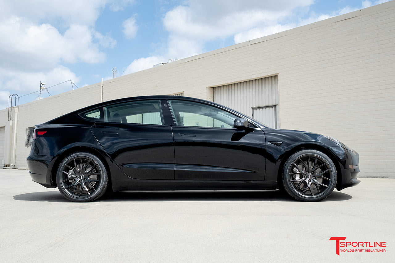 TSR Tesla Model 3 Wheel (Test Type & Brand Dropdown)