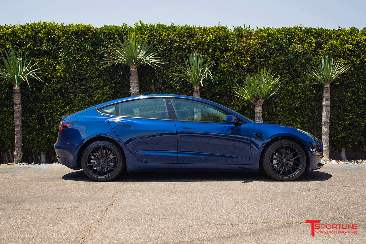 TSR Tesla Model 3 Wheel (Test Type & Brand Dropdown)