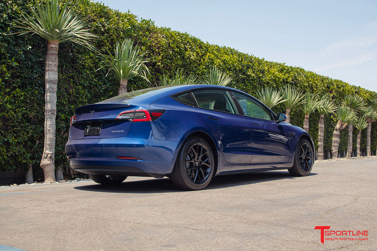 TSR Tesla Model 3 Wheel (Test Type & Brand Dropdown)