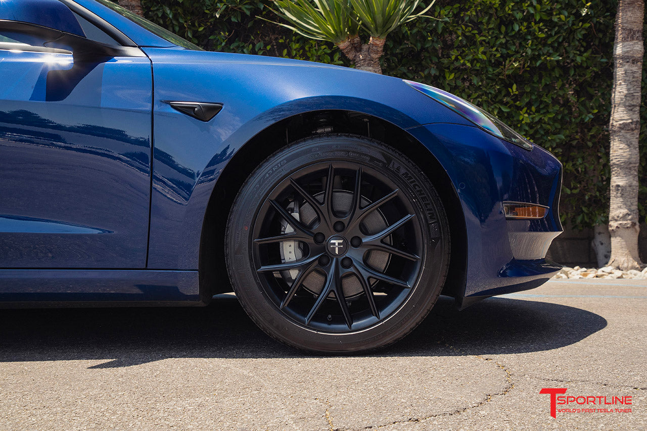 TSR Tesla Model 3 Wheel (Test Type & Brand Dropdown)