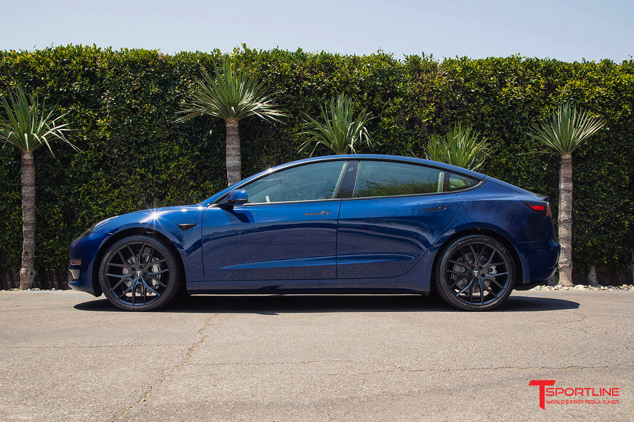 TSR Tesla Model 3 Wheel (Test Type & Brand Dropdown)
