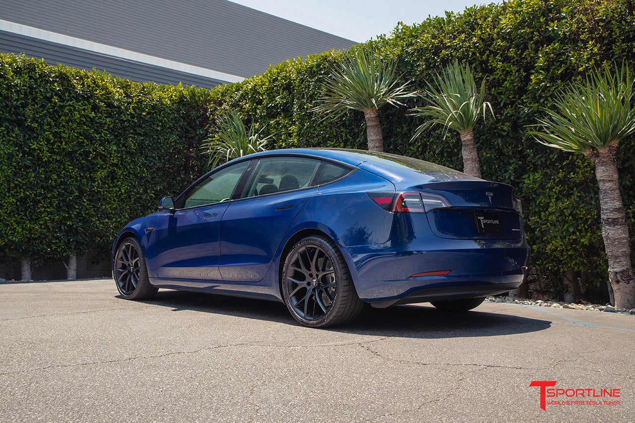 TSR Tesla Model 3 Wheel (Test Type & Brand Dropdown)