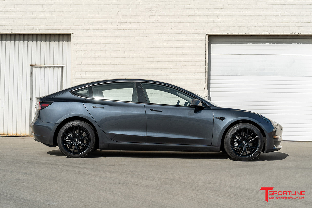 TSR Tesla Model 3 Wheel (Test Type & Brand Dropdown)