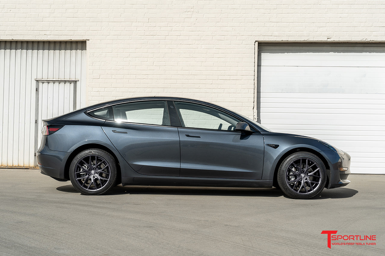 TSR Tesla Model 3 Wheel (Test Type & Brand Dropdown)