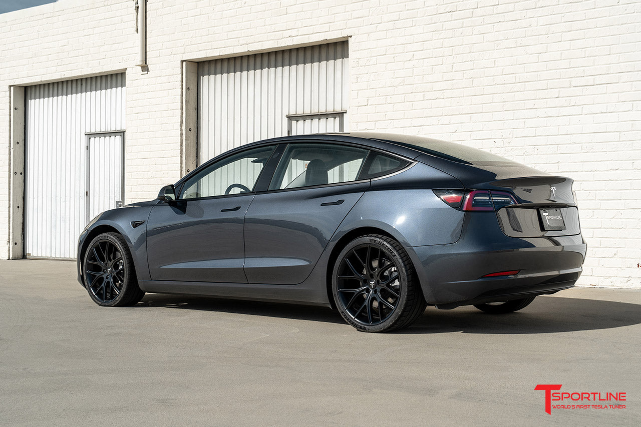 TSR Tesla Model 3 Wheel (Test Type & Brand Dropdown)