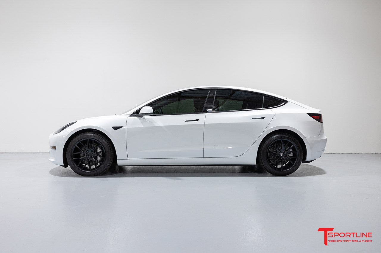 TSR Tesla Model 3 Wheel (Test Type & Brand Dropdown)