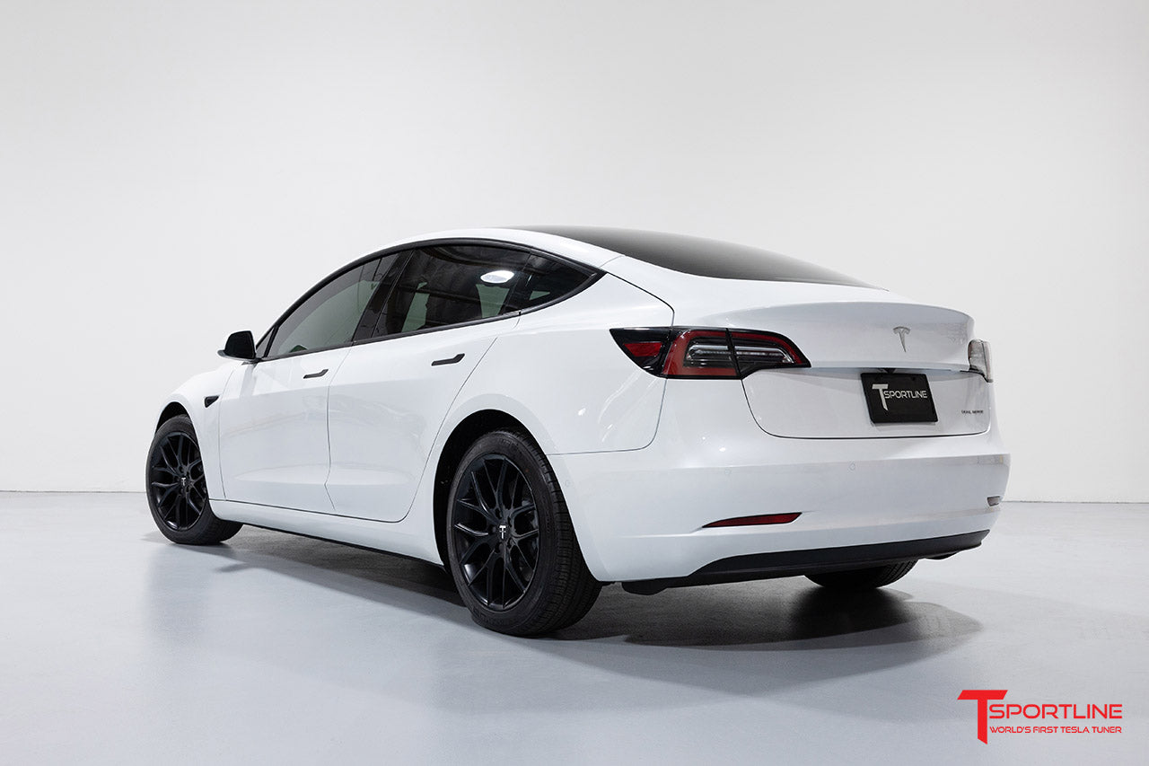 TSR Tesla Model 3 Wheel (Test Type & Brand Dropdown)
