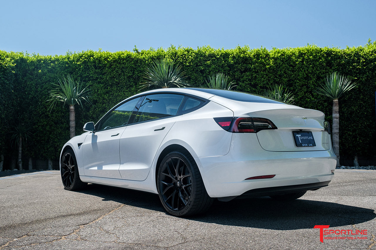 TSR Tesla Model 3 Wheel (Test Type & Brand Dropdown)
