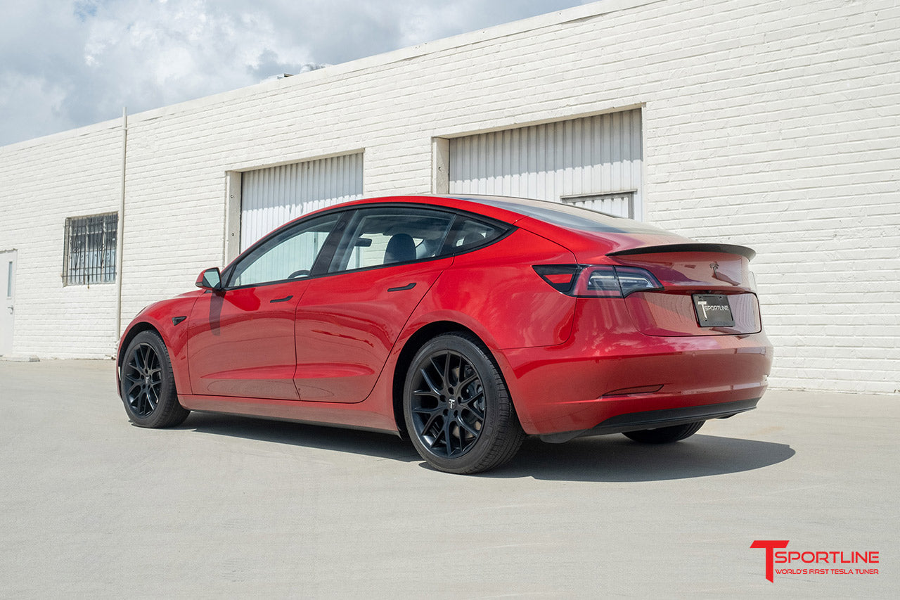 TSR Tesla Model 3 Wheel (Test Type & Brand Dropdown)