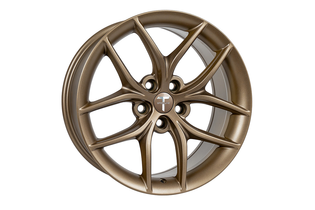 TS5 Tesla Wheel
