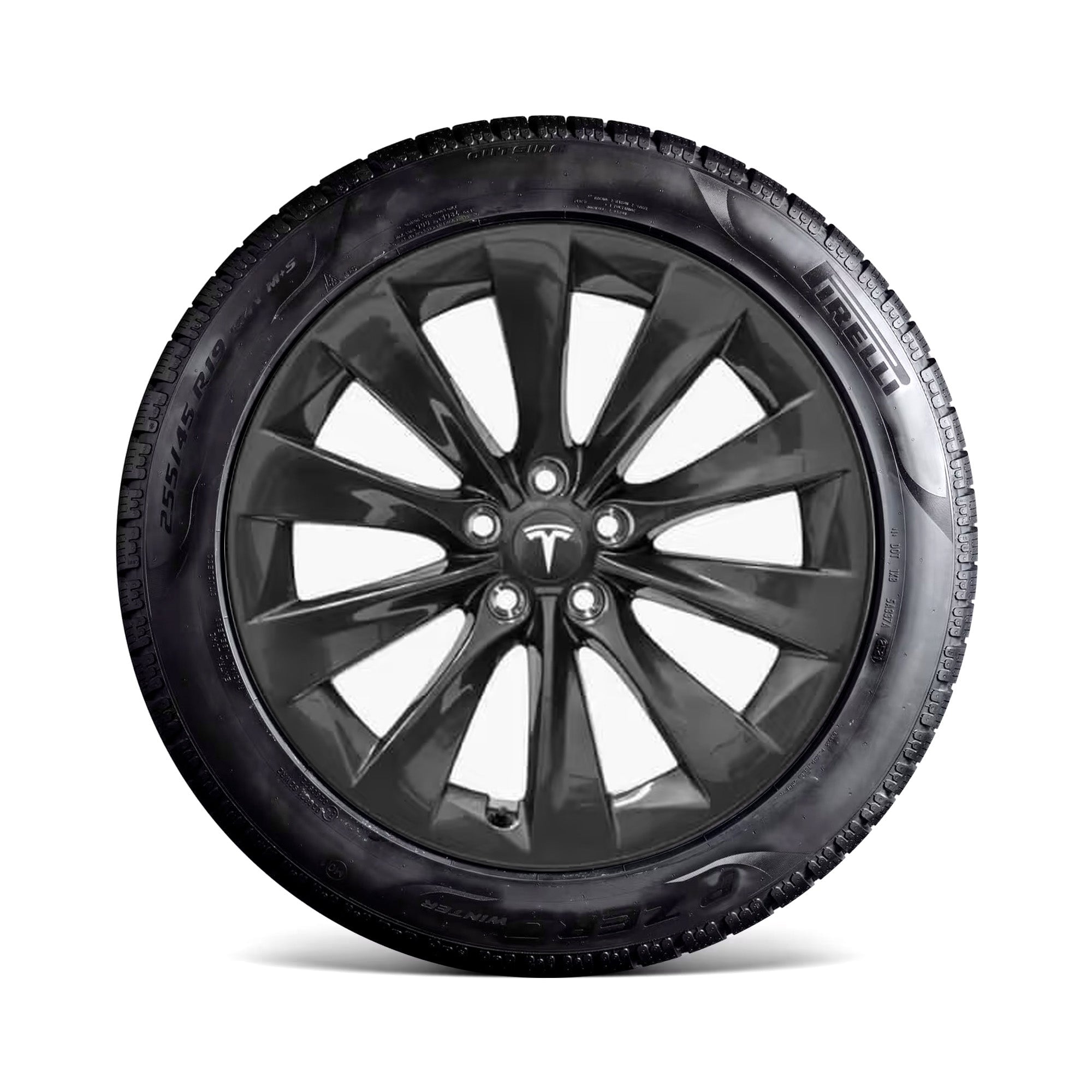 T Sportline Tesla Wheel Touch Up Paint