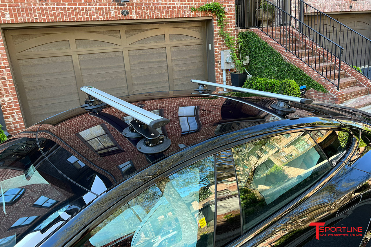 TreeFrog Pro Vacuum Mounted Crossbar Multi-Sport & Cargo Roof Rack